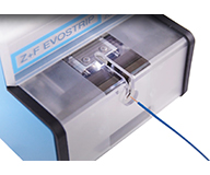 �d���X�g���b�v�̗l�q